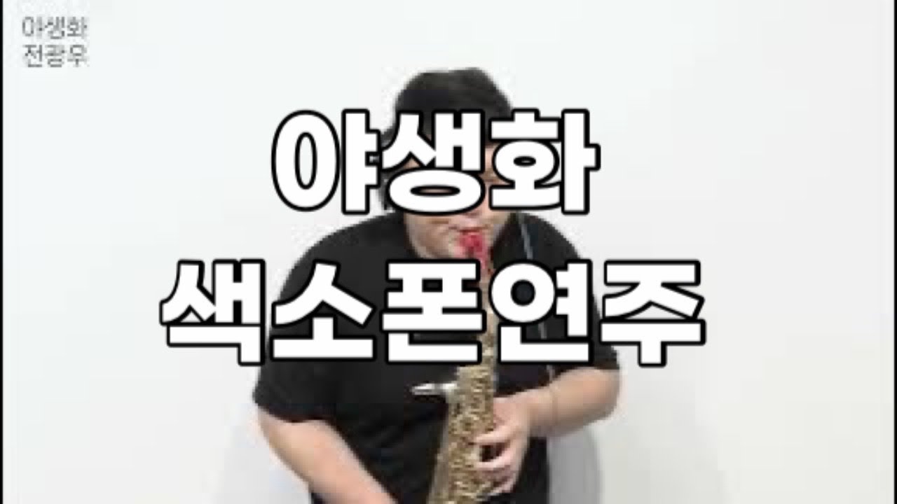 야생화 전광우 색소폰연주