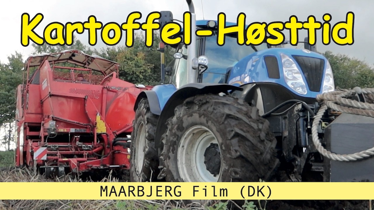 Det er kartoffel-høsttid, med 3 traktorer og den store kartoffeloptager, så sker der noget på gården
