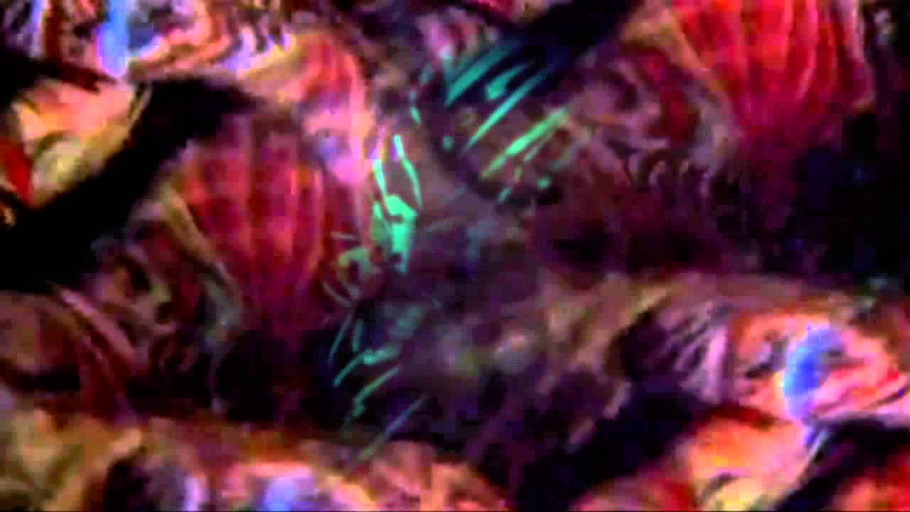 Bryan Ford - Downtown Drifter (official video)