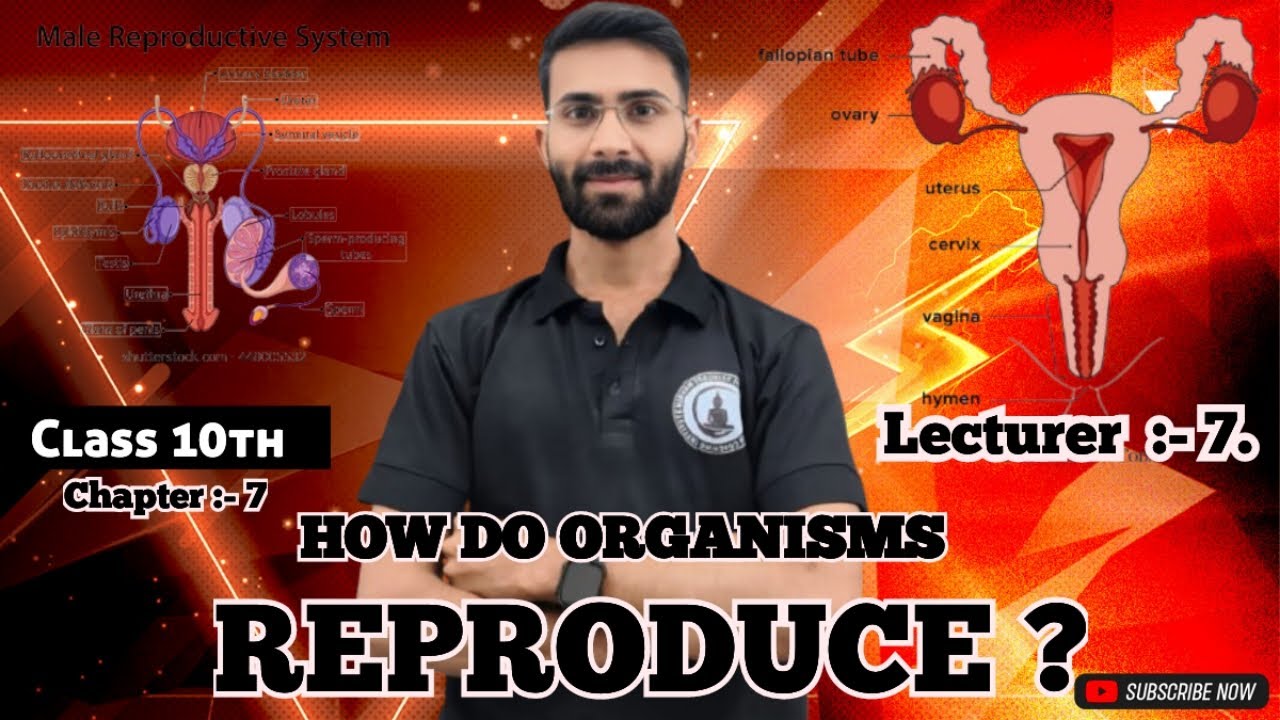 HOW To organisms reproduce 🥰 class 10th ( science) 😇