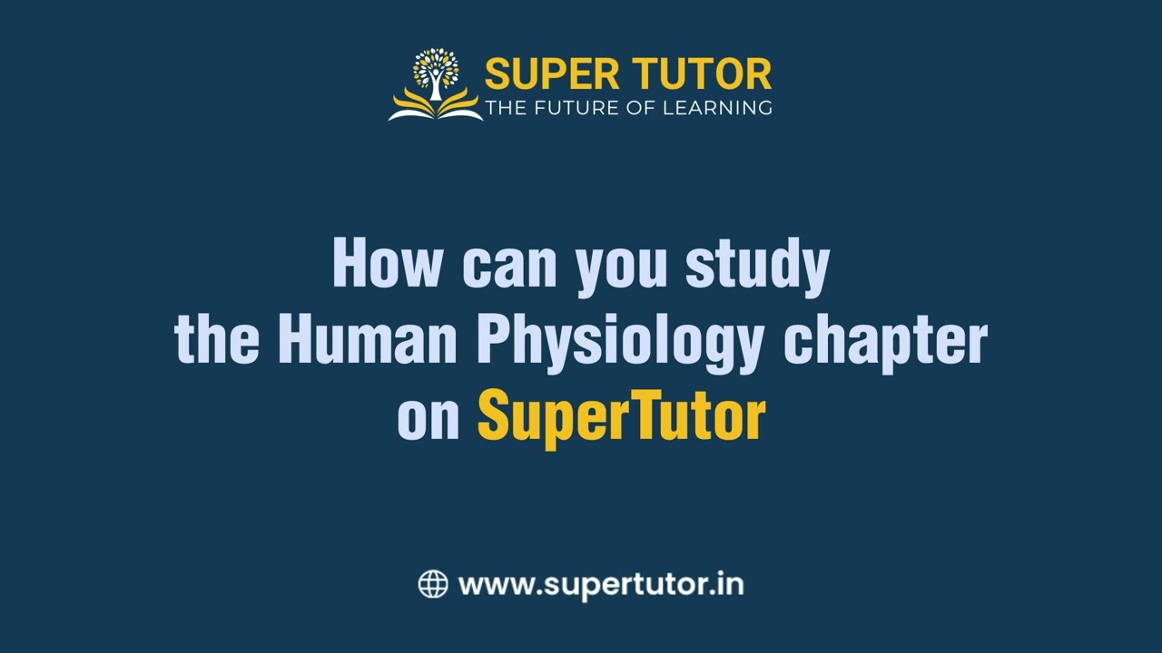 The Right Way to Study Human Physiology for NEET