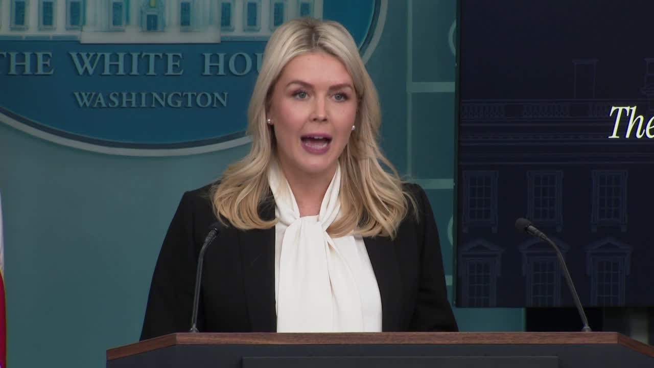 Karoline Leavitt: We expect to have complete, total dominance over Iranian airspace