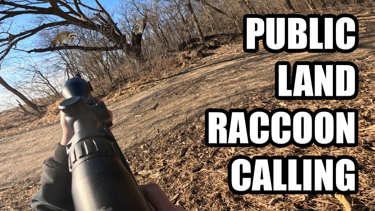 PUBLIC LAND RACCOON CALLING