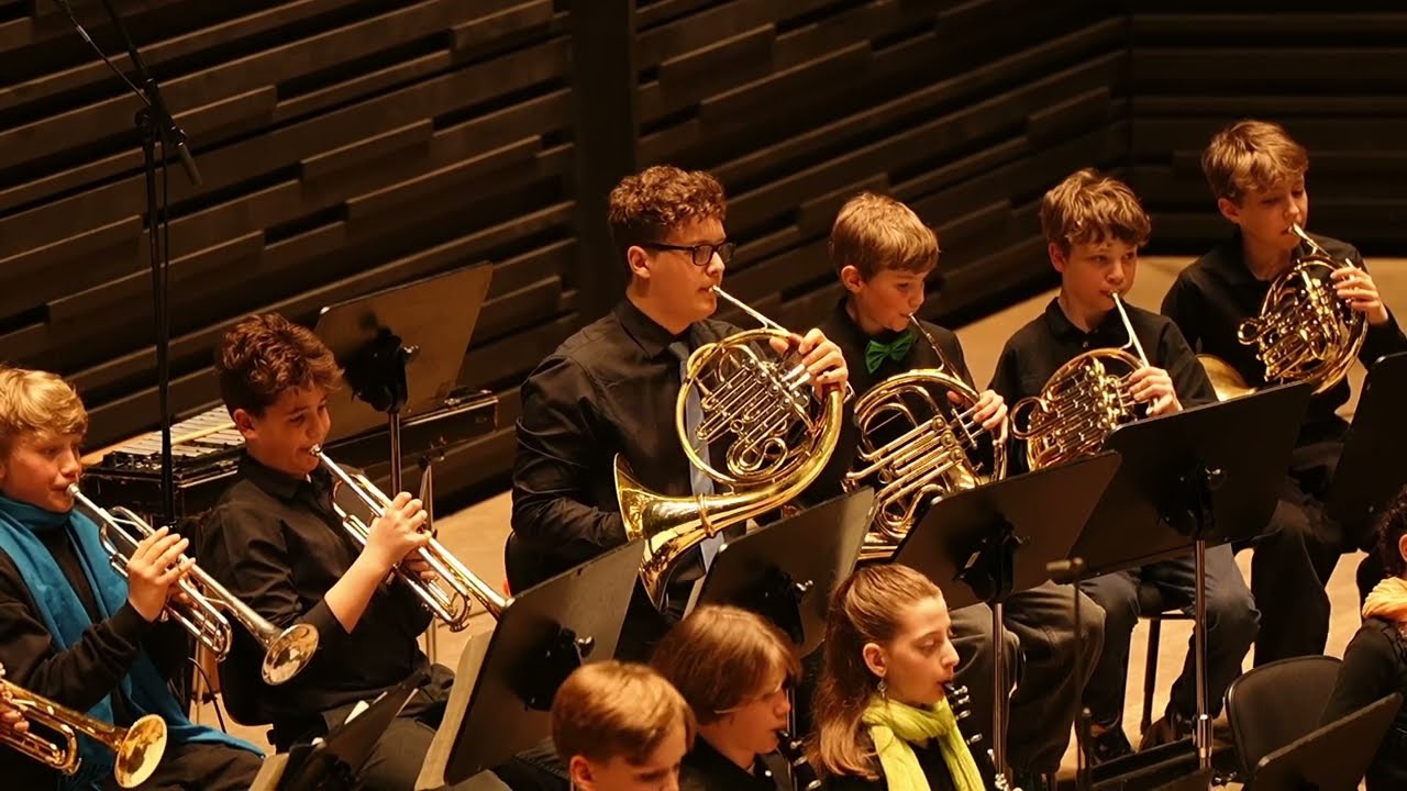 Johann Strauss: An der schönen blauen Donau // Mikrolozzi, Pestalozzi-Gymnasium München