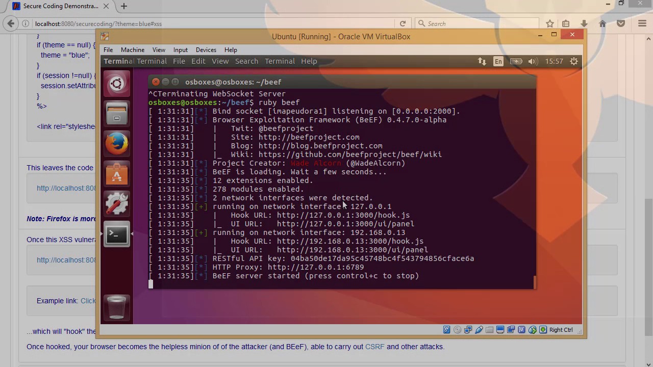 Web Vulnerabilities - Cross Site Scripting