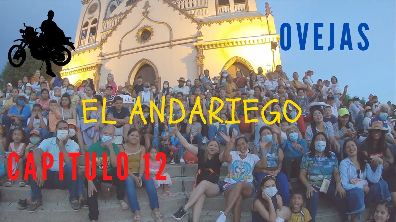 Ovejas sucre , El festival francisco Llirene 2023