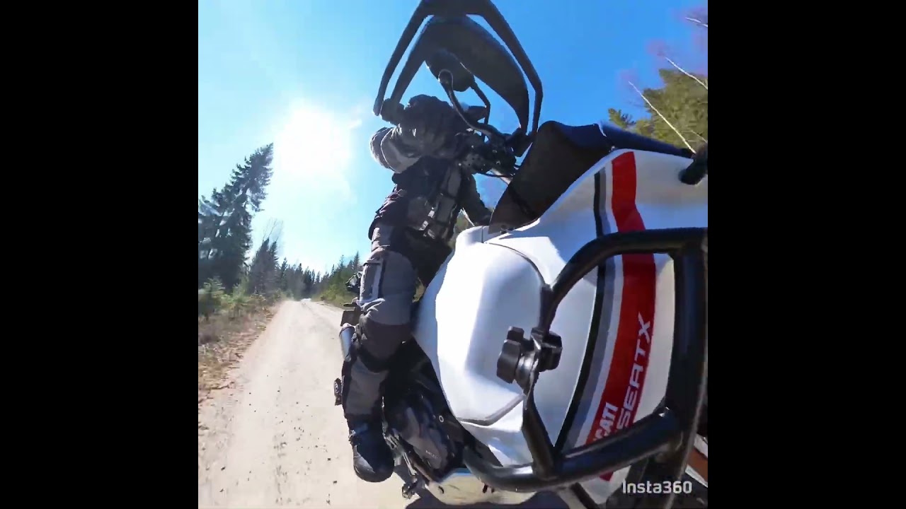 DesertX dayride Norwegian woods #ducati #adventuremotorcycle #gravelroad #advrider