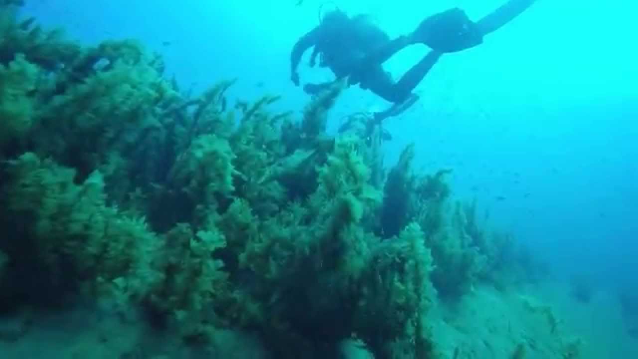 Don Pedro IBIZA