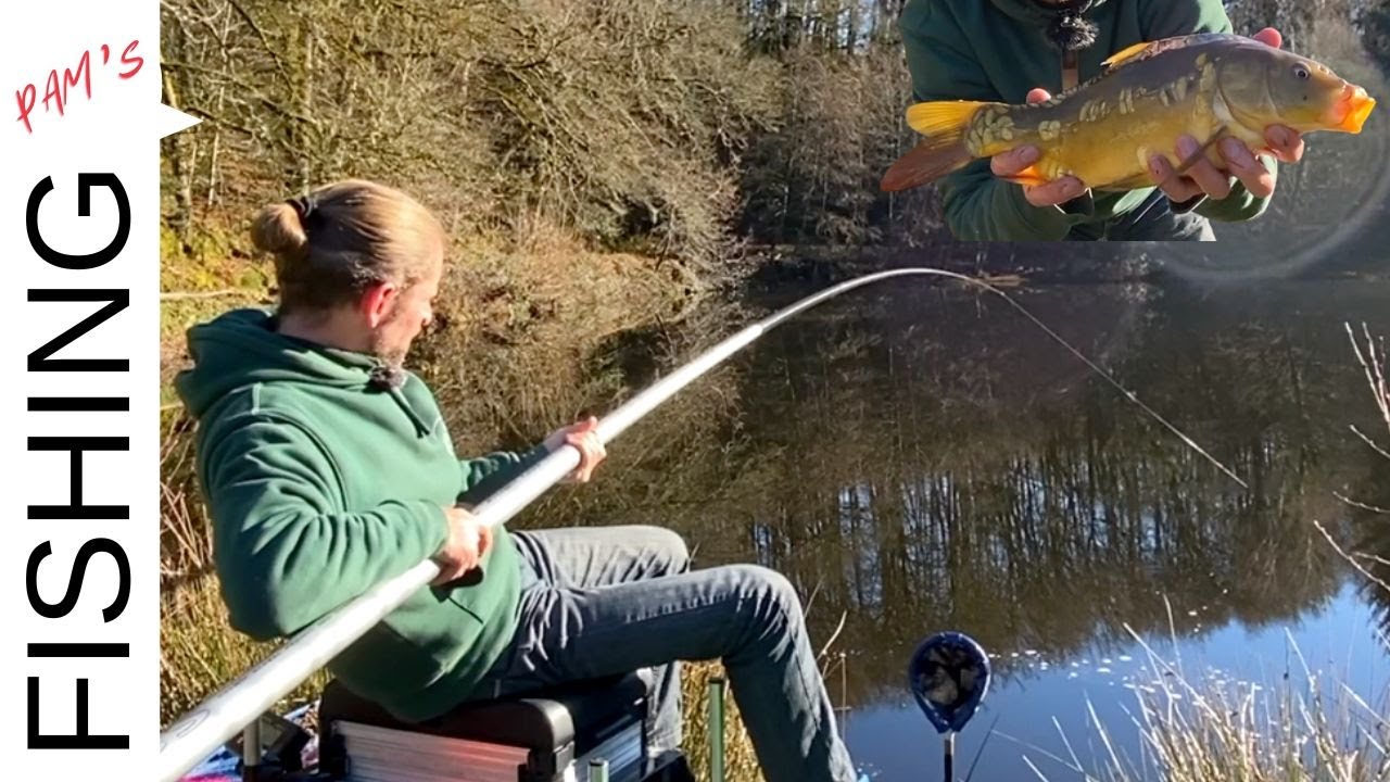 ◼︎ PECHE AU  COUP D&rsquo;UNE  CARPE MIROIR | FISHING PAMS