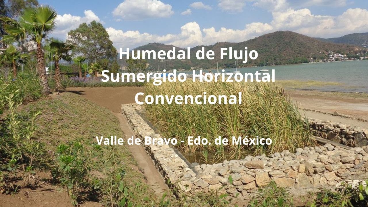 Humedal para tratamiento de aguas negras, Valle de Bravo. Ecodena México