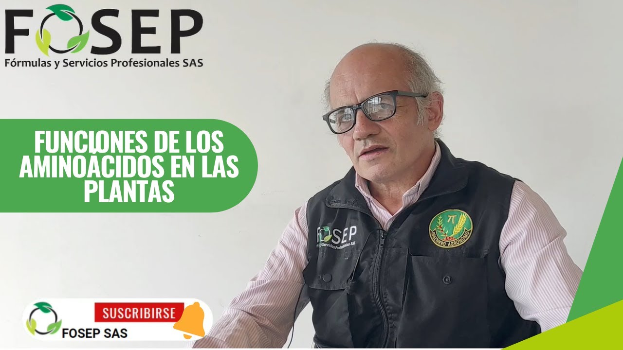 FUNCIONES DE LOS AMINOÁCIDOS EN LAS PLANTAS