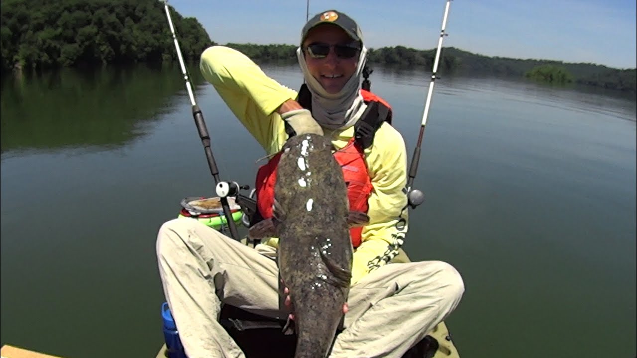 Suspend Fishing with Bluegill for Catfish on the Tennessee River