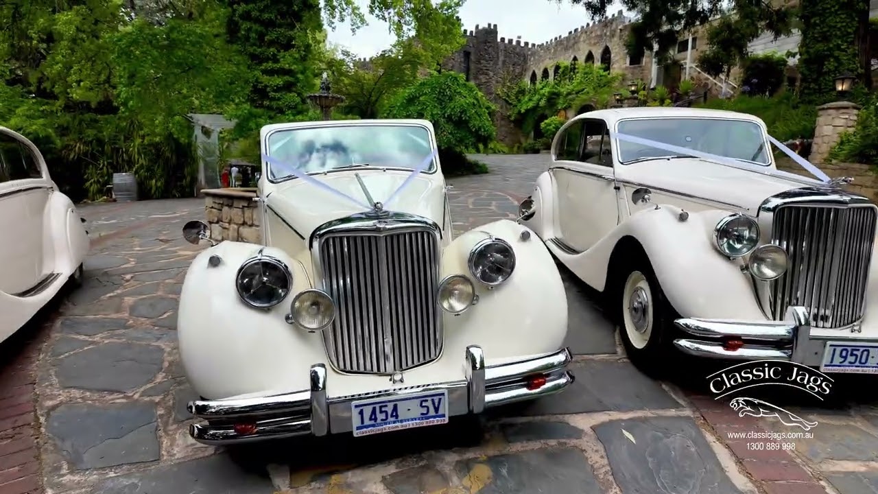Classic Jags | Award-Winning Wedding Transport🌟