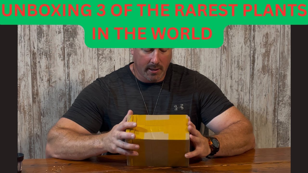 UNBOXING ONE OF THE  RAREST PLANTS IN THE WORLD