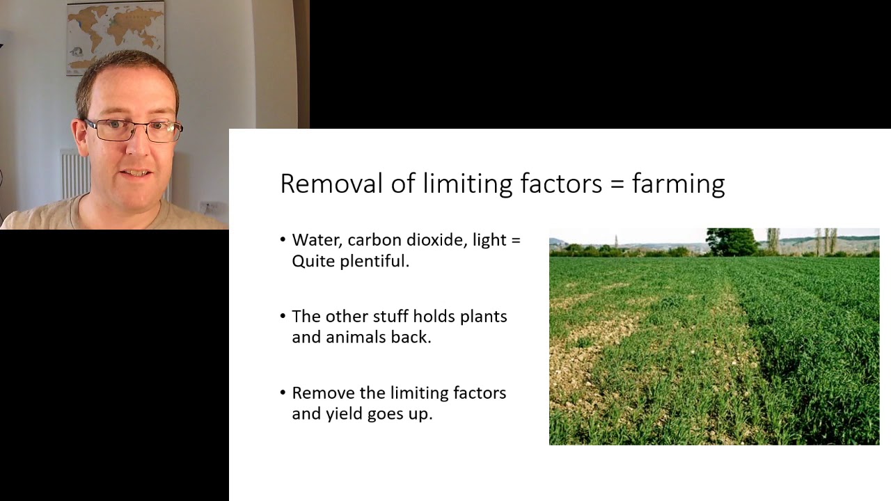 A Level Biology: Energy and Ecosystems: Use of Fertilisers