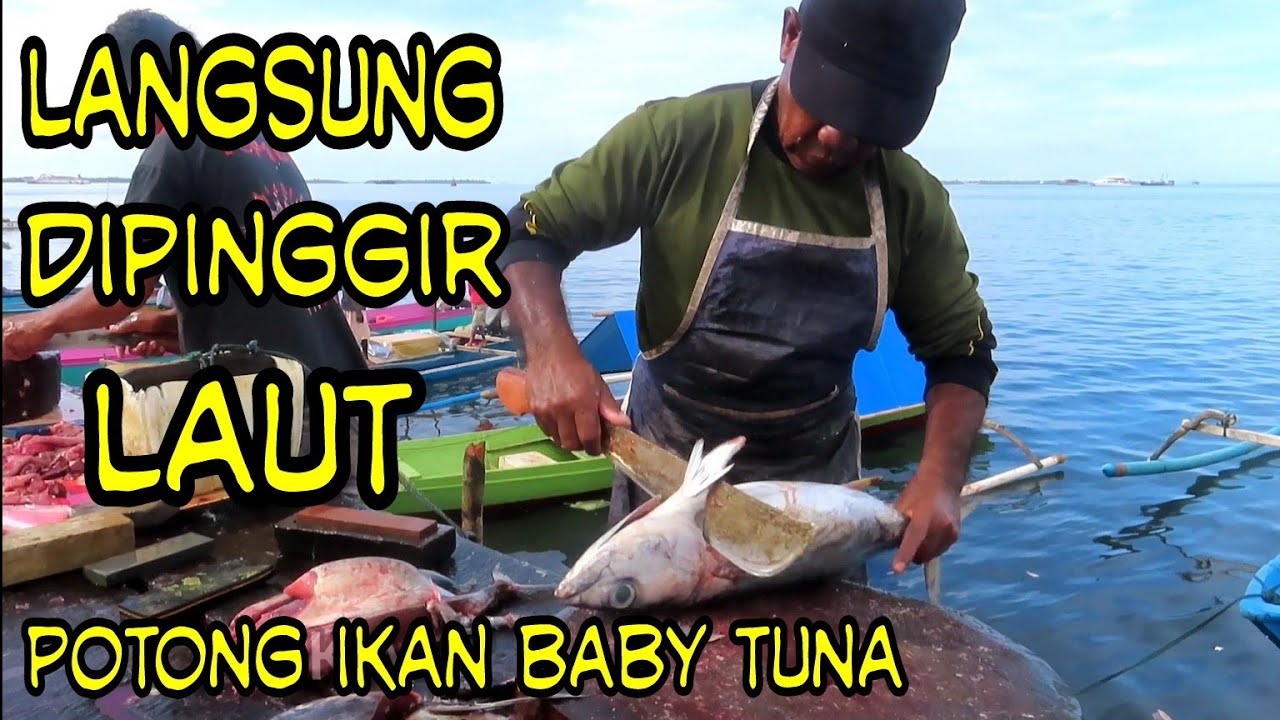 Potong baby tuna sirip kuning di pinggir laut