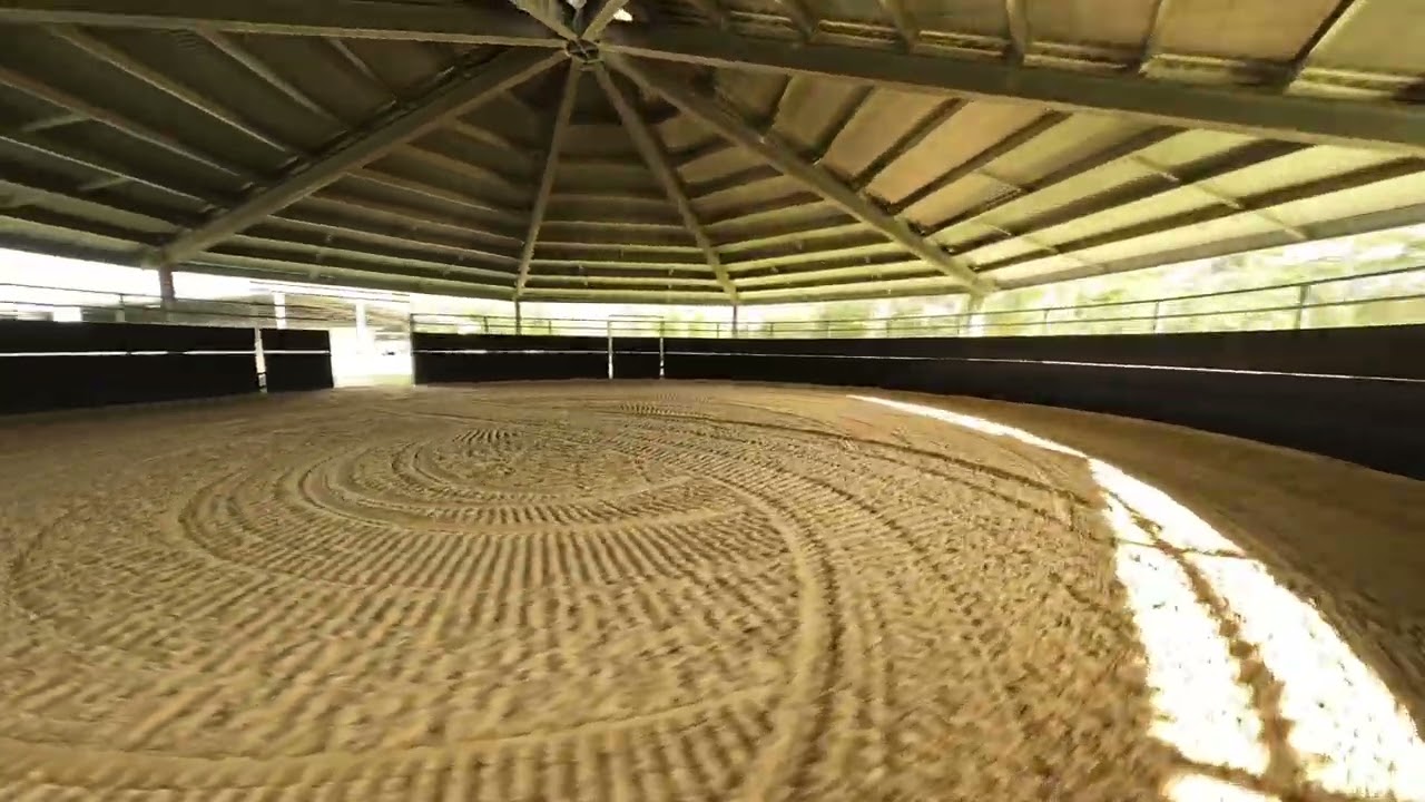 Take a lap around our round yard | Vision Equine.