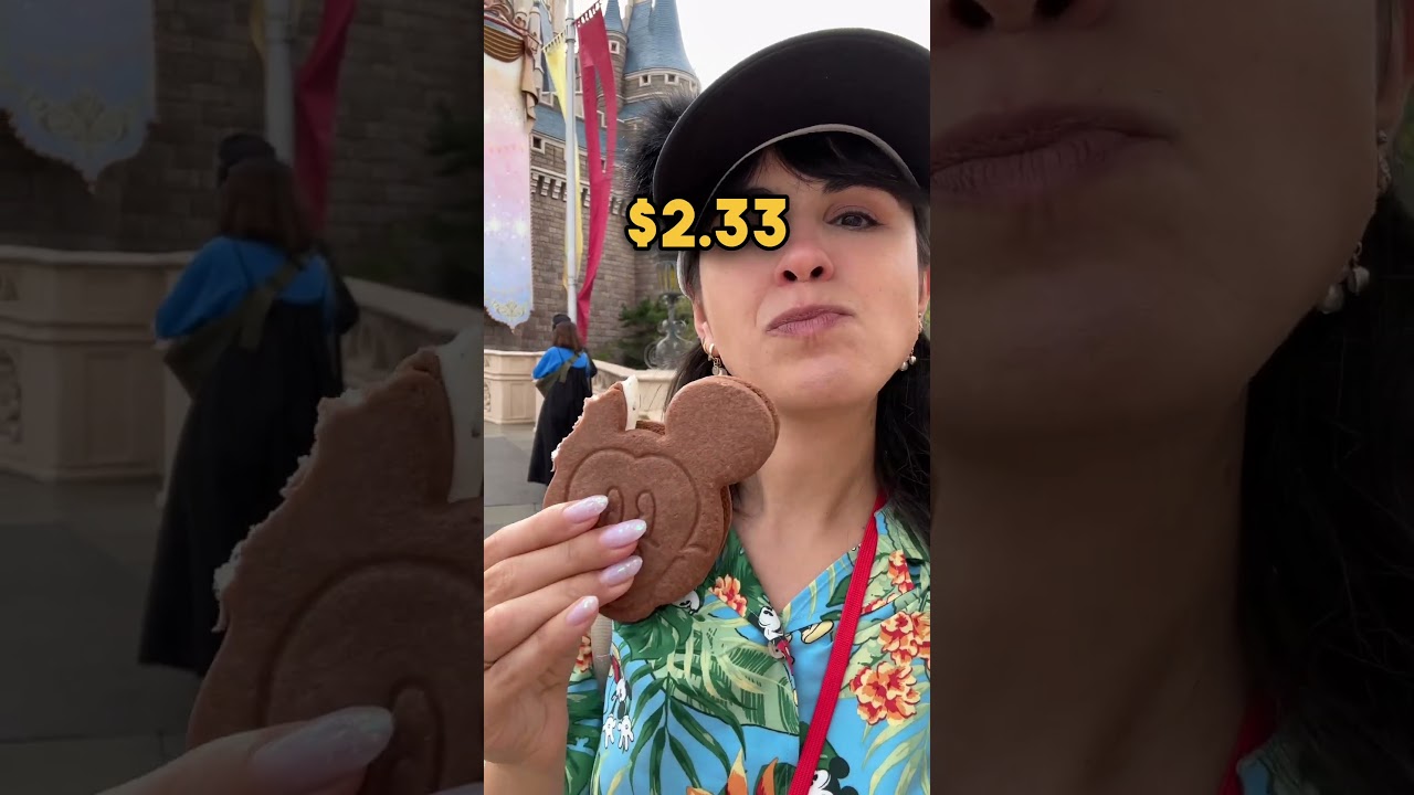 How Much Does Tokyo Disney Cost??