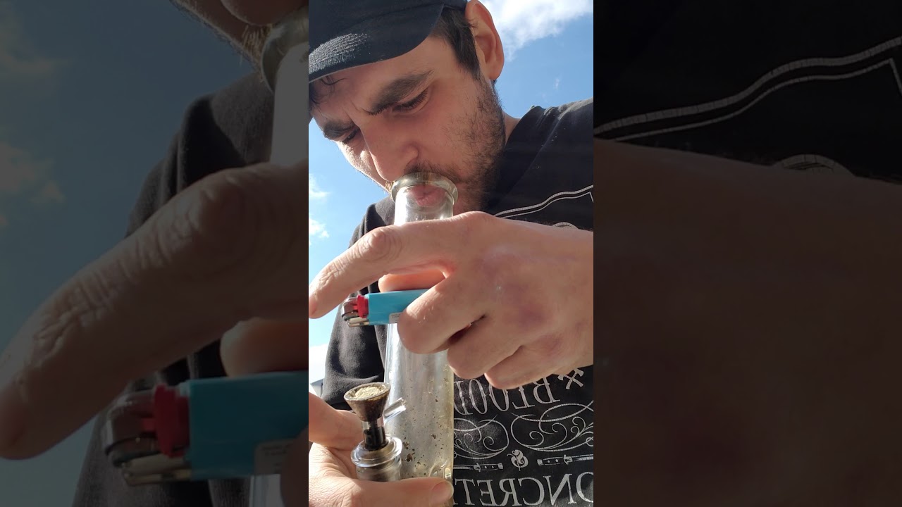 Half gram girl scout cookies bong hit