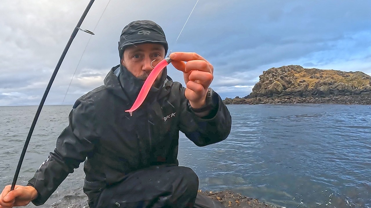 Combat Lure Fishing | WInter Topwater