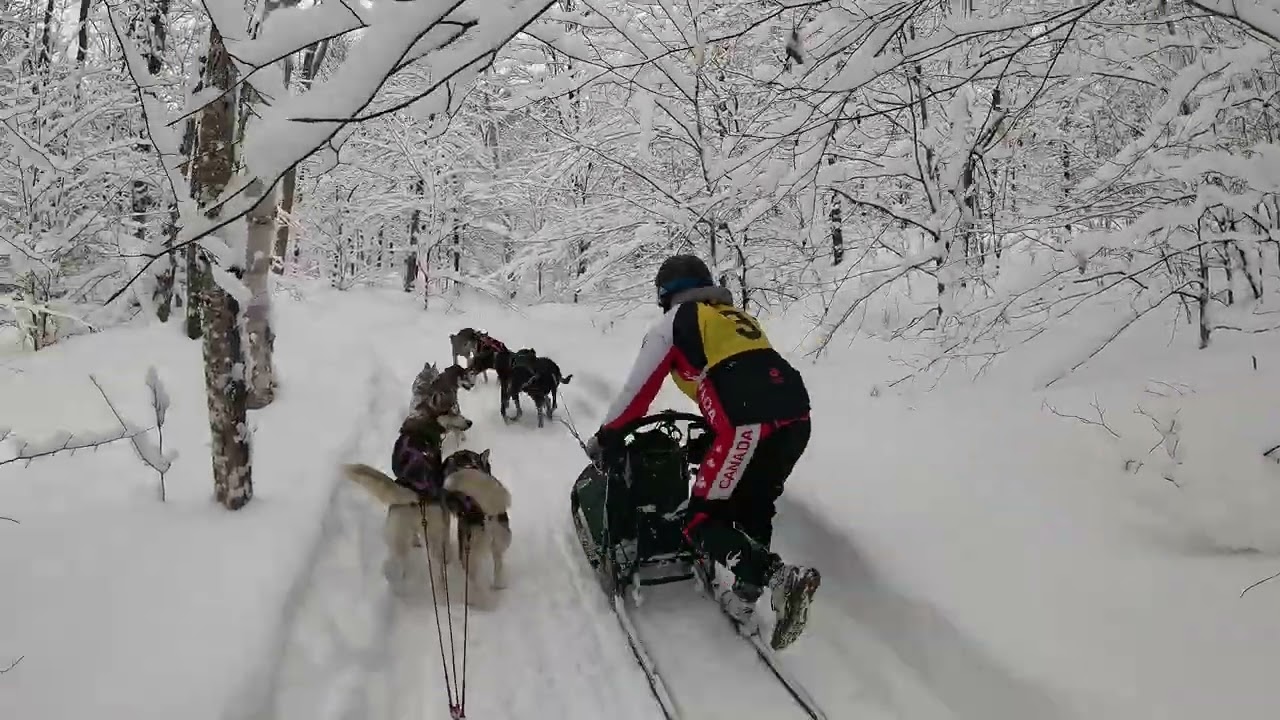 South River 2026 ~ 4 Sled RNB
