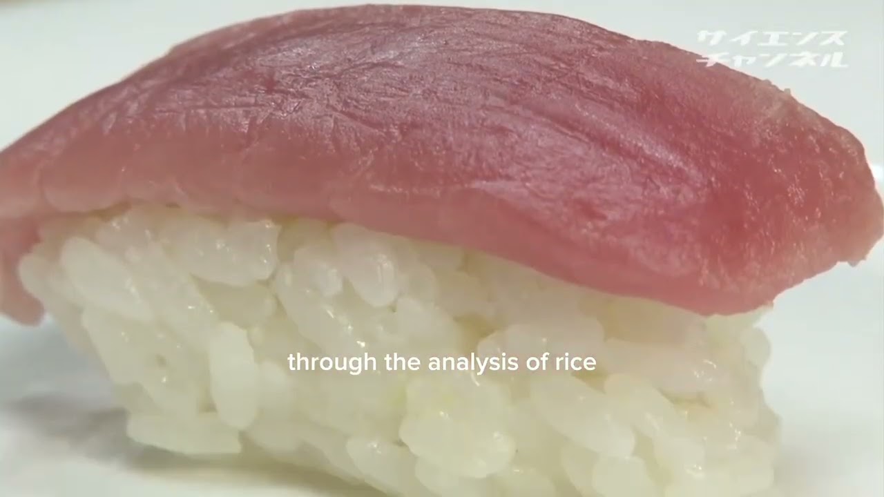 PROTON frozen sushi 🍣