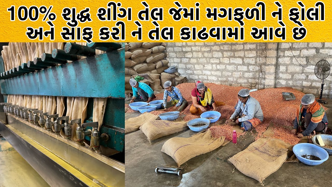 અત્યાર સુધીમાં આટલી સફાઈ થી તેલ કાઢતા તમે કોઈ ને નહીં જોયા હોય જેમા ખરાબ મગફળી,કાંકરી કાઢી નાખે