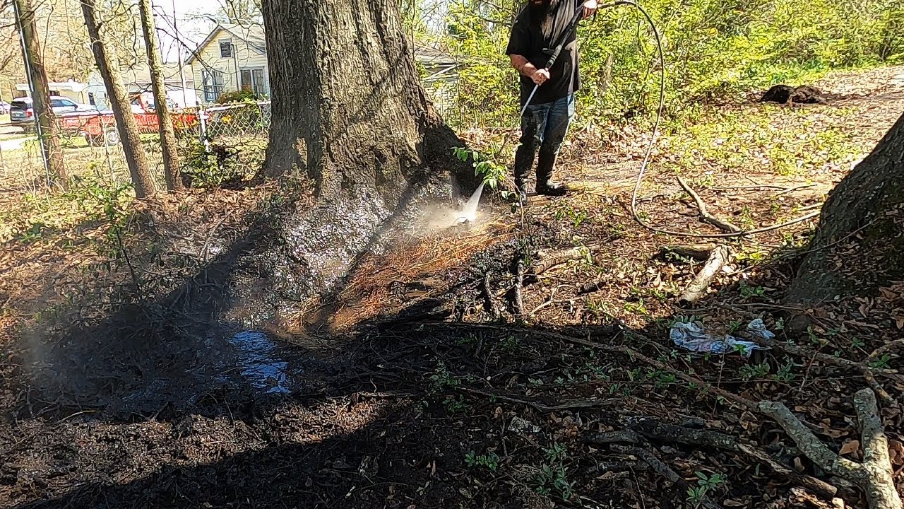 I was doing this FREE POWERWASHING job and I FOUND a HIDDEN driveway -  covered for decades