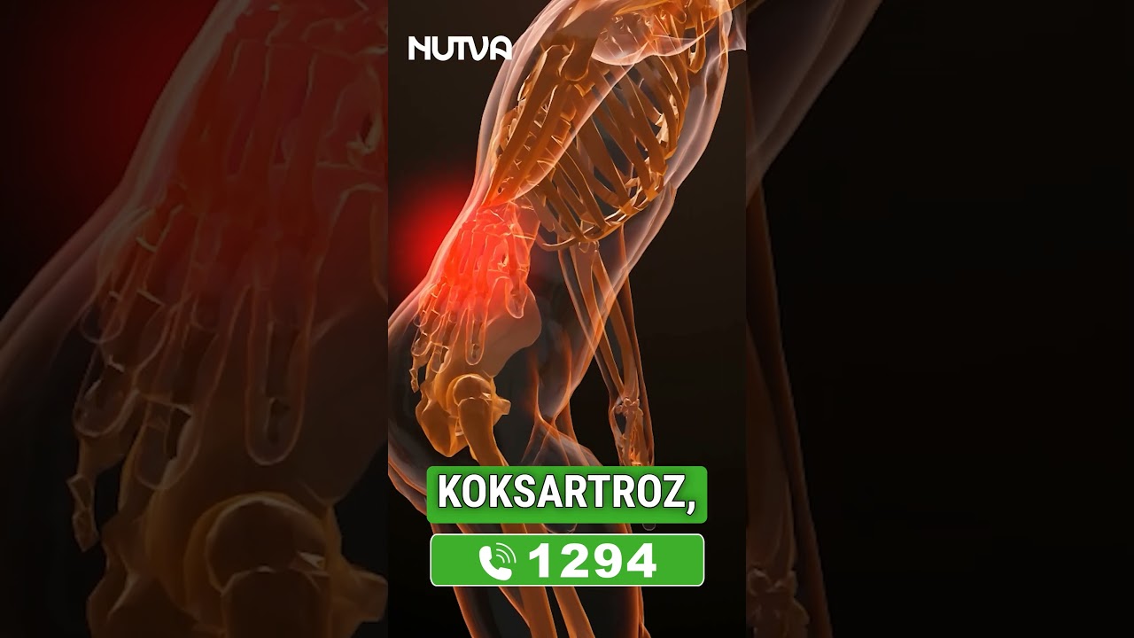 Nutva Complex  ЯНГИЛАНДИ!