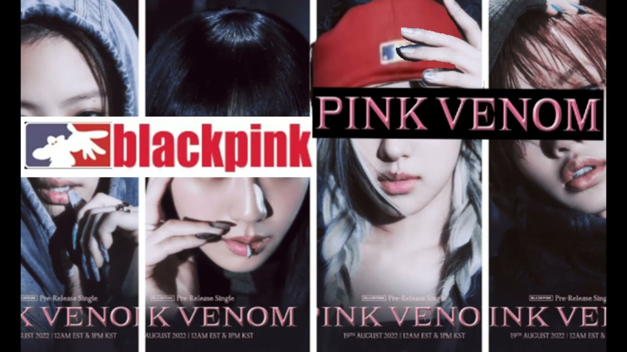 BLACKPINK(블랙핑크) - Pink Venom Rock Cover