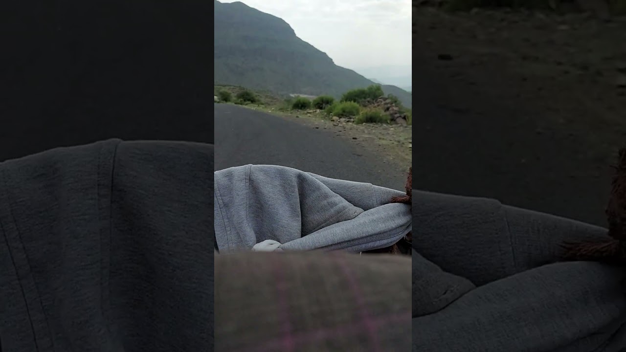 رحلة الى حمام جارف