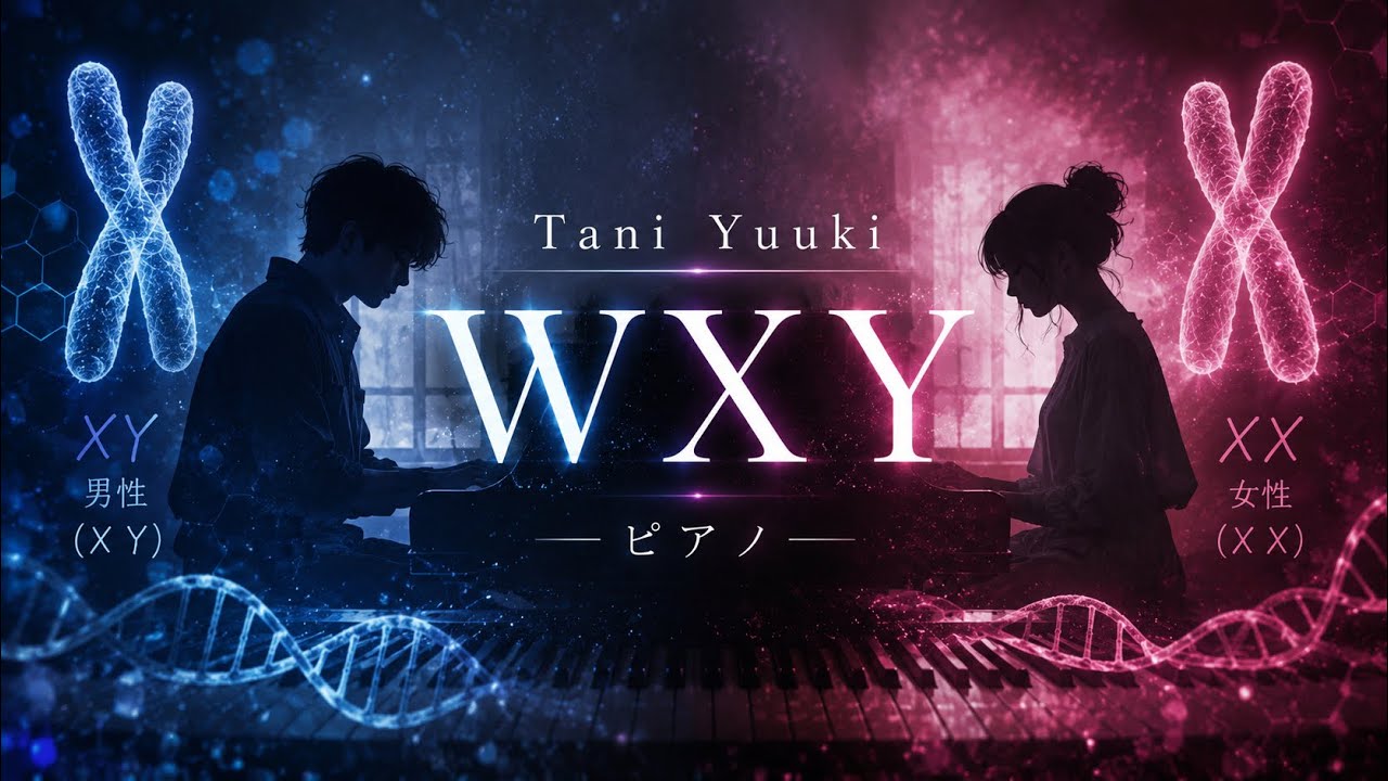 Tani Yuuki WXY ピアノ
