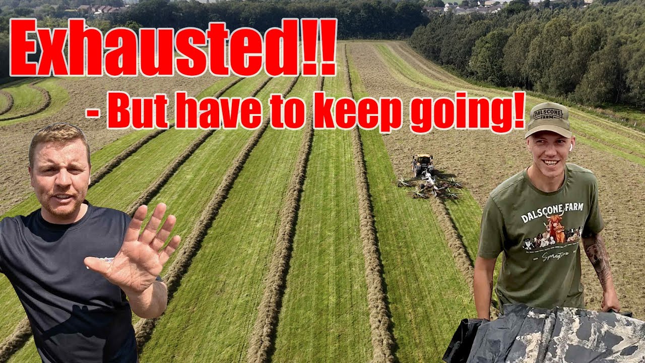 What Happens To Our Animals? Farmer Ben Rushes To A Late Night Birth! 