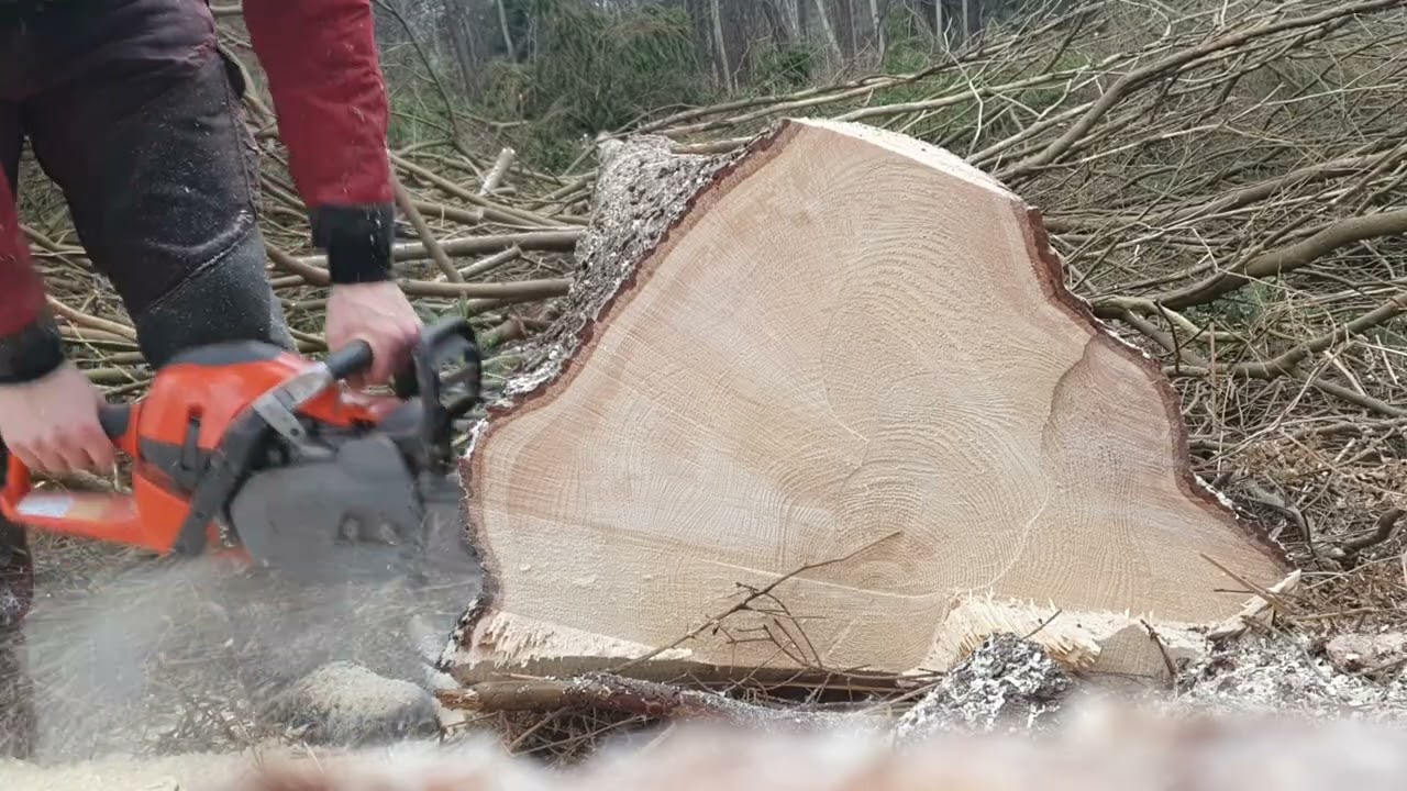 Husqvarna 564xp Pulling 28