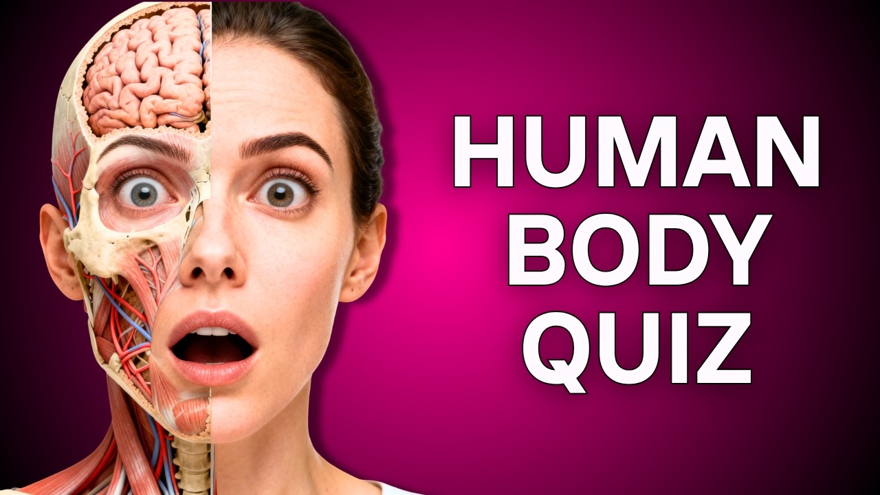 Can You Guess These Crazy Human Body Facts?