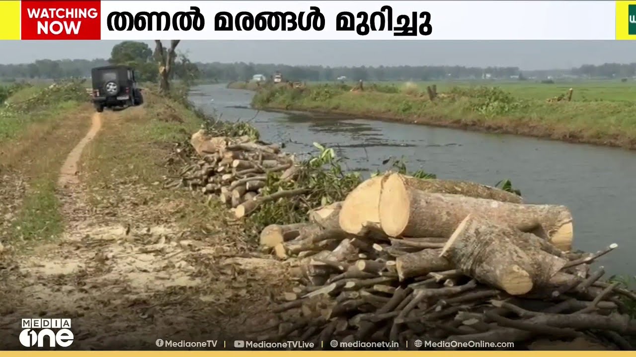 തൃശൂർ കുന്നംകുളത്ത് തണൽ മരങ്ങൾ മുറിച്ച് കടത്തിയതായി പരാതി....