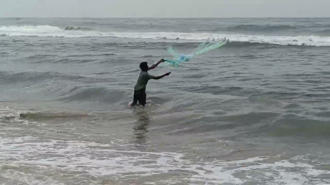 Chennai Marina Beach LIVE Fishing | Traditional Fish Catching in Tamil Nadu Nags Crab Farming 