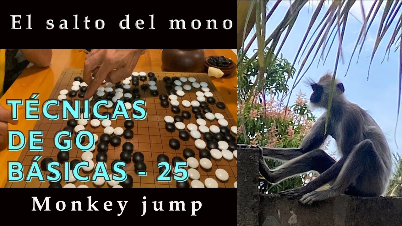 El salto del mono. Monkey jump. 猿滑り, サルスベリ  大猿