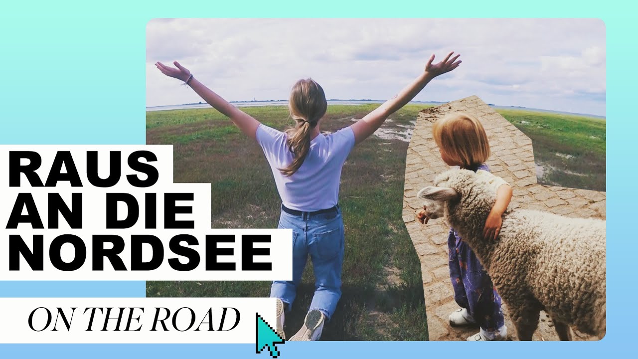 Im Norden liegt das Glück (weil: Schafe!) | On the Road