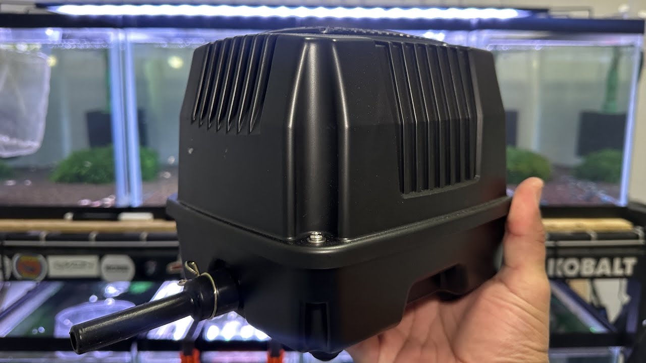 Giving my tanks a BIG air pump upgrade