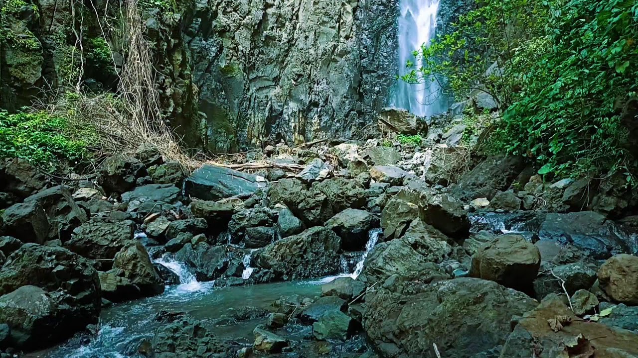 Peaceful Forest River Flow – Relaxing Water Sounds for Sleep 1080p HD