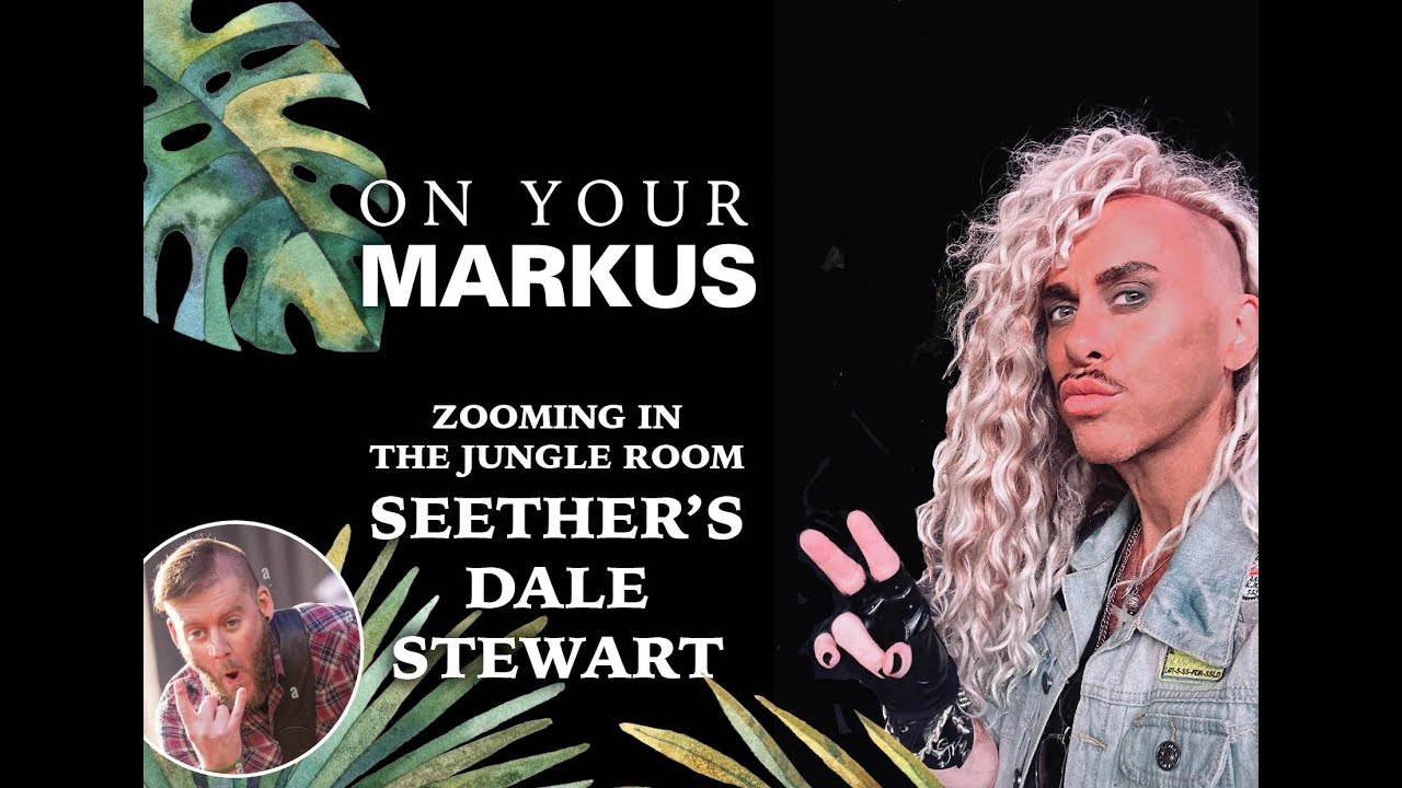Zooming in The Jungle Room with Seether's Dale Stewart