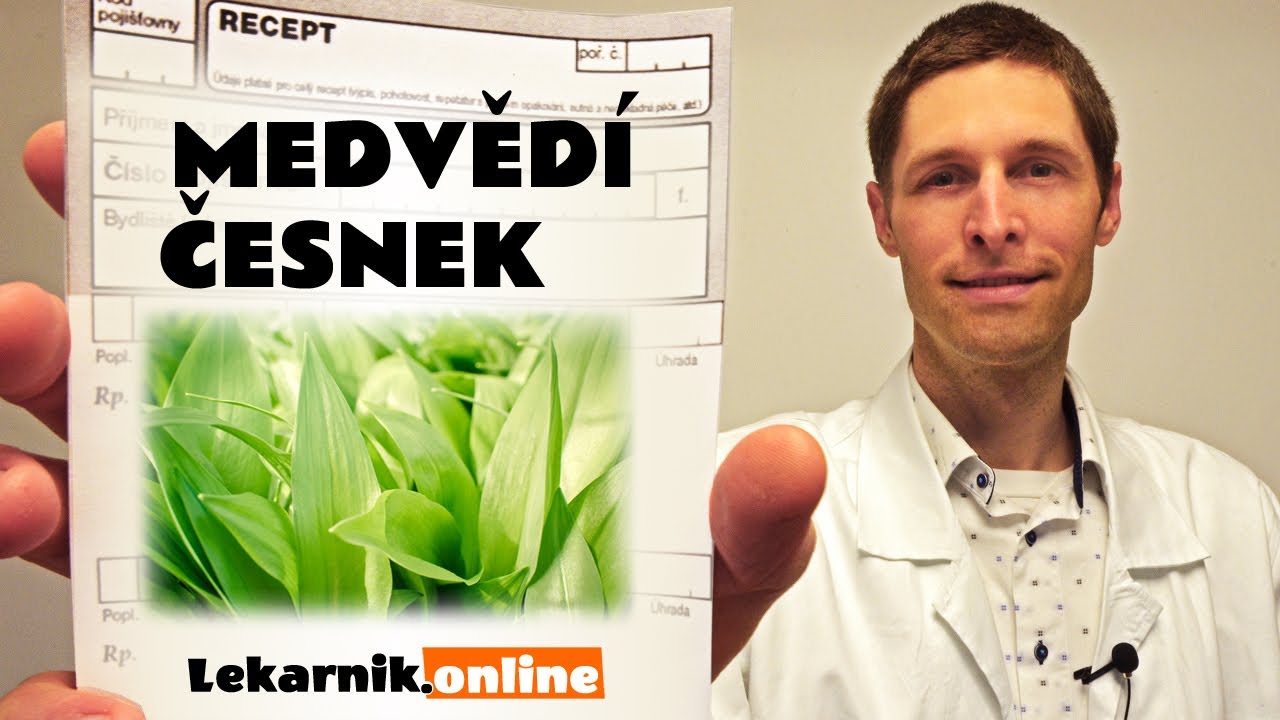 Medvědí česnek (6 min)