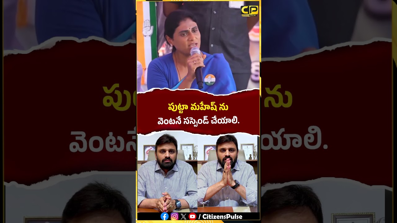 పుట్టా మహేష్ ను వెంటనే సస్పెండ్ చేయాలి..! #yssharmila #maheshkumar #appolitics #ytshorts