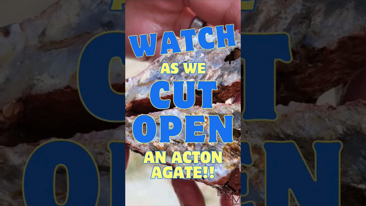 WATCH us cut an Acton Agate!! 😲 #shorts #cuttingagates #actonagate #hitechdiamond #trimsaw #Agate