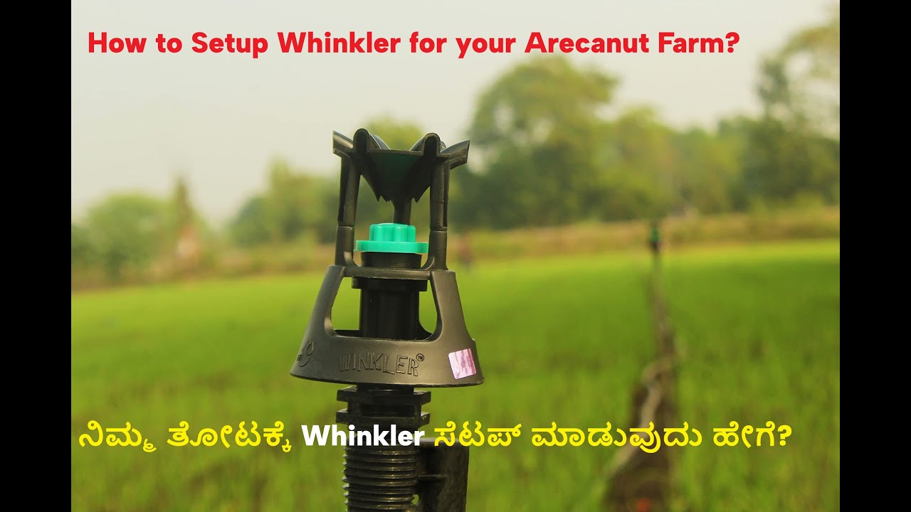ಅಡಿಕೆ ತೋಟಕ್ಕೆ Best ನೀರಾವರಿ ವಿಧಾನ – ವಿಂಕ್ಲರ್ | Whinkler Installation Kannada