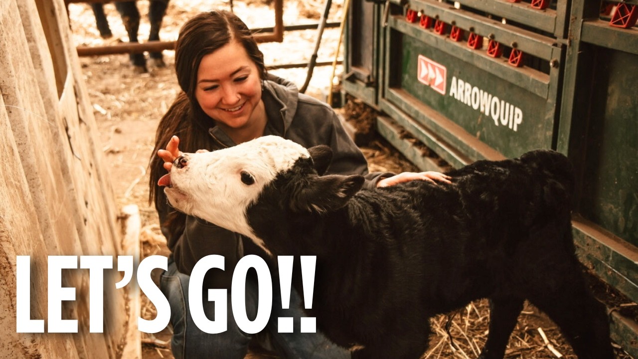The BEST time of the year on the farm is here!!!