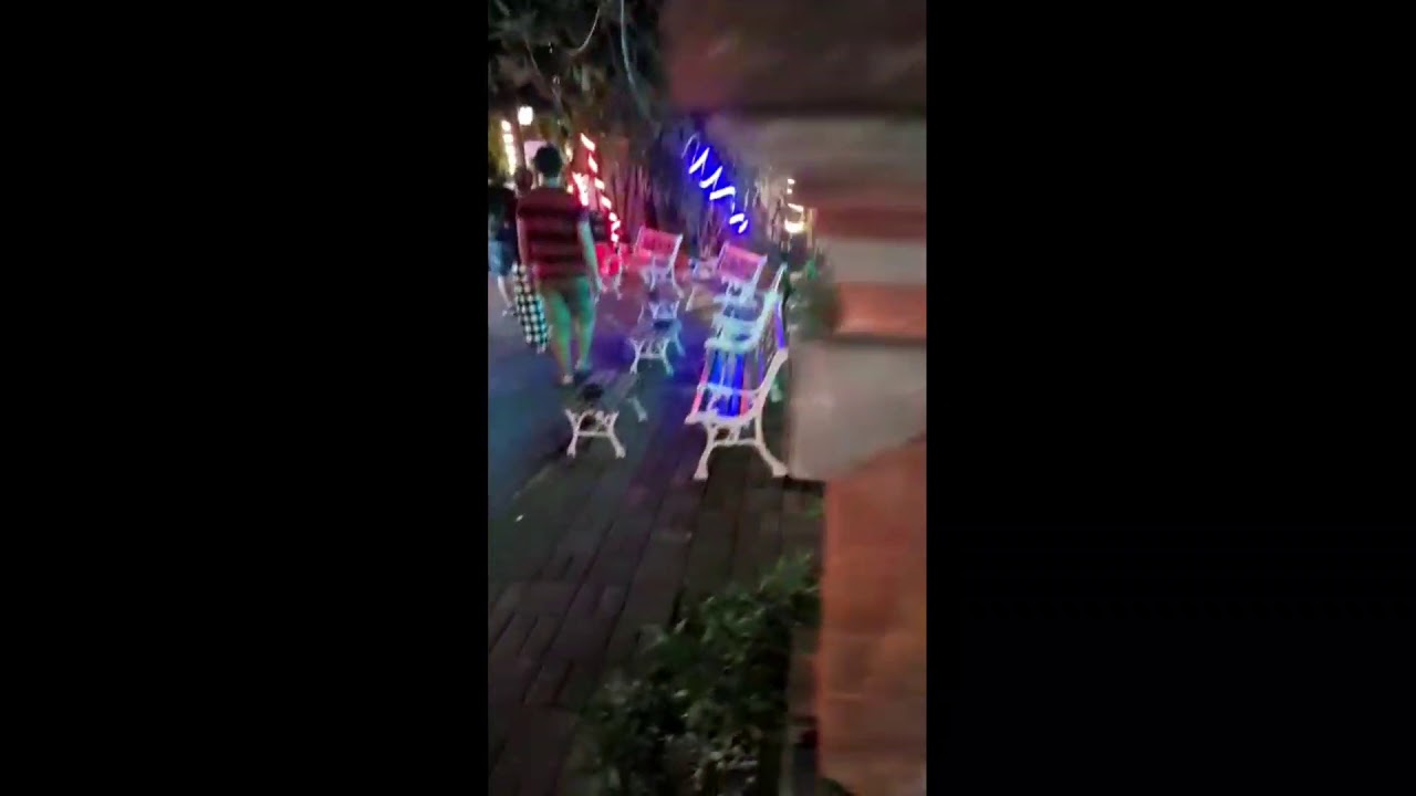 Mellys garden vlog