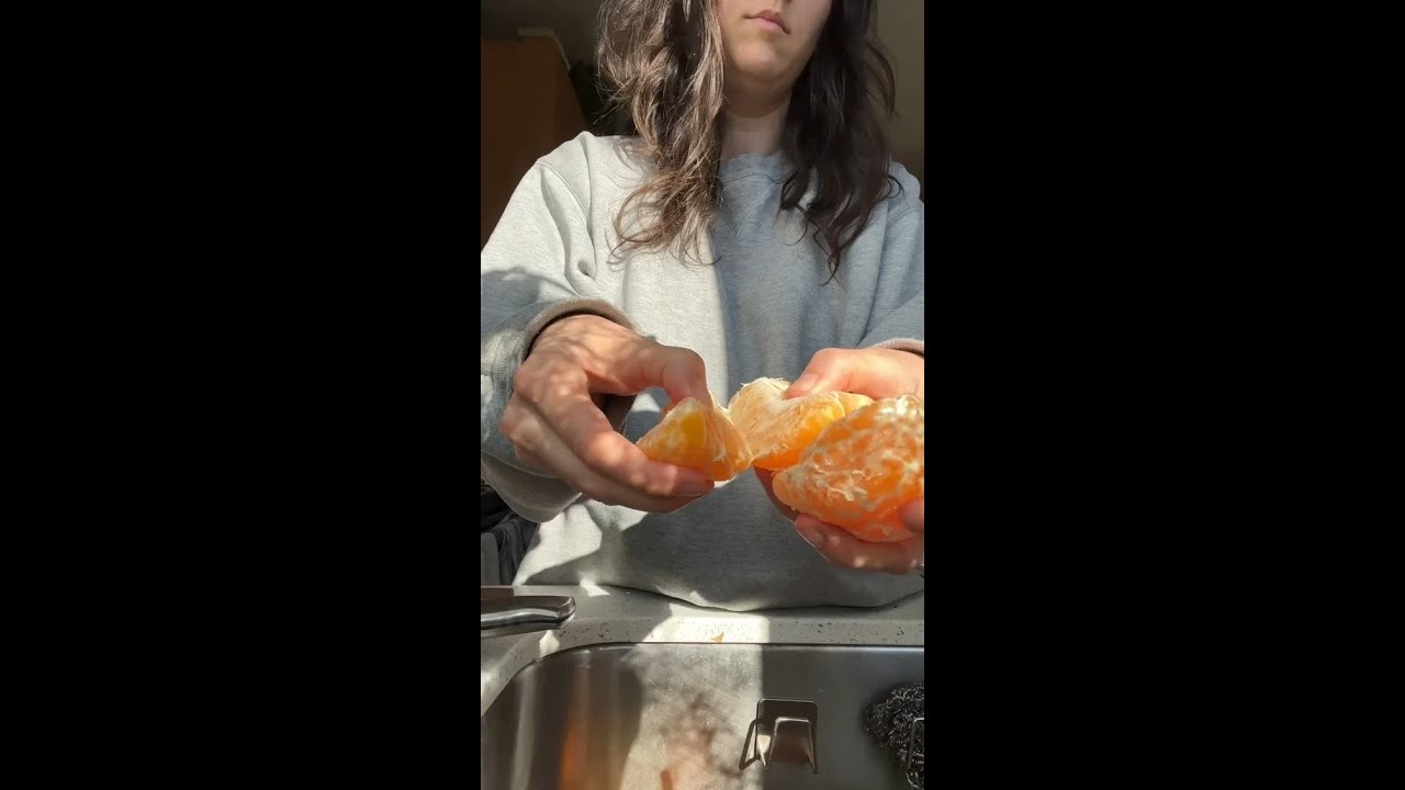 The Sumo Citrus Experience