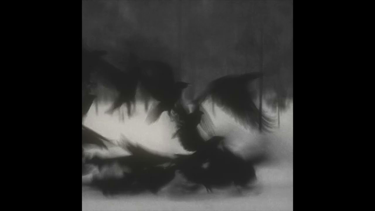 (FREE) Post Punk x Alternative Indie Rock Type Beat - 